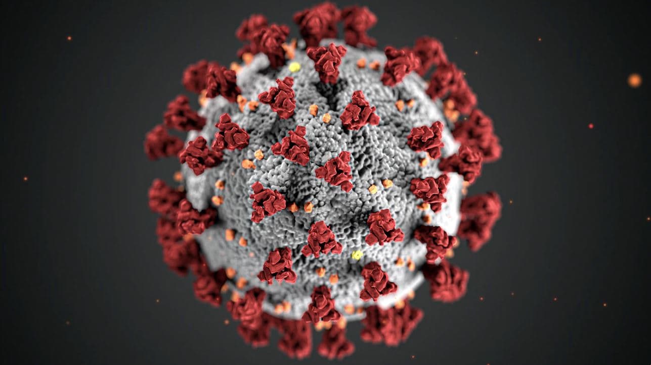 Coronavirus Asia Phenol Market