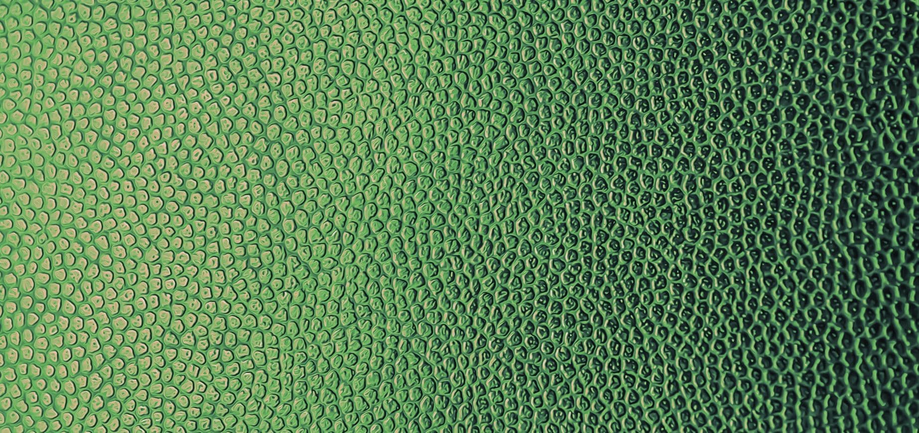 'NexantECA - Vegan Leather and competing on changing definitions of Sustainability