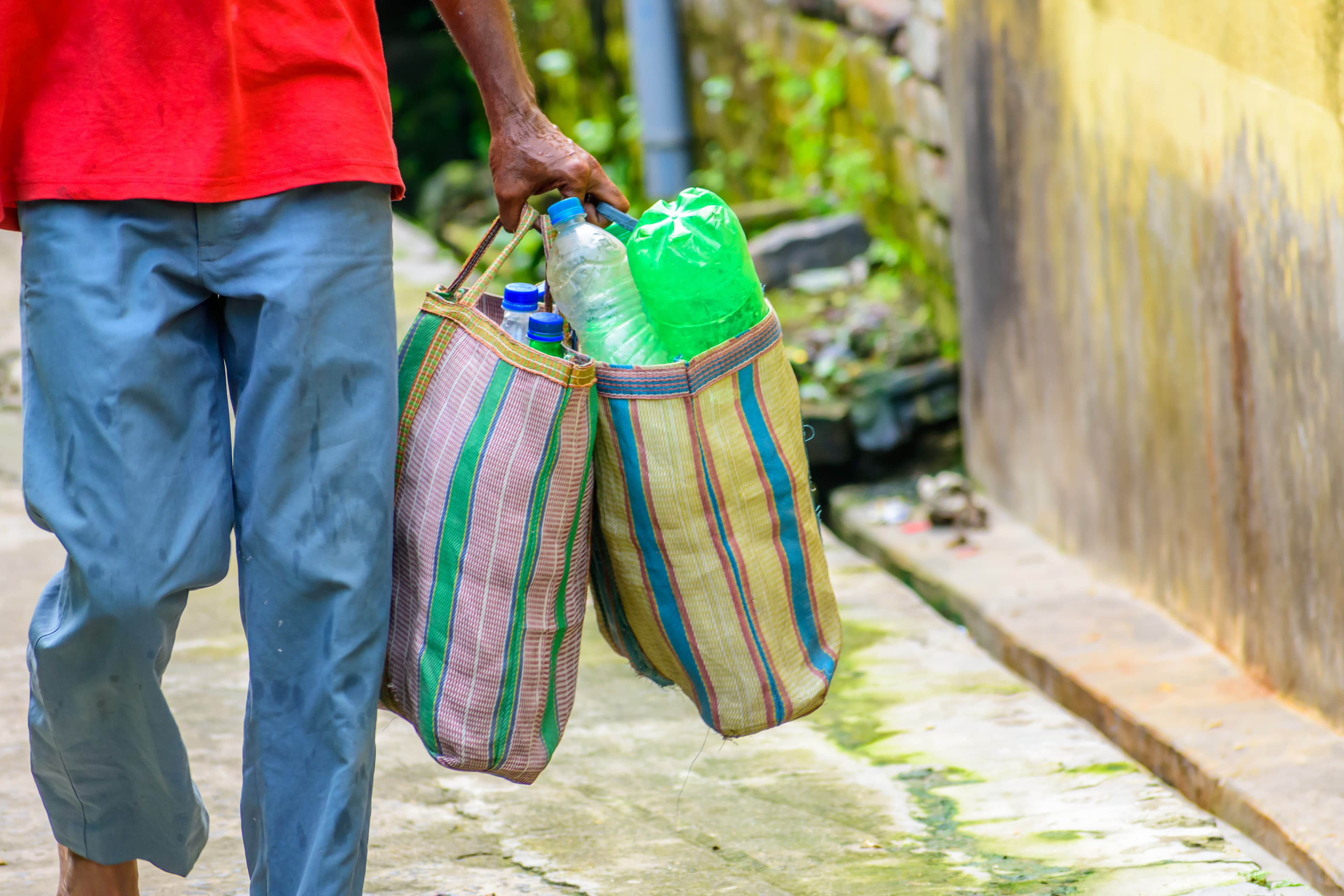 Sustainability in India: The Need of the Hour